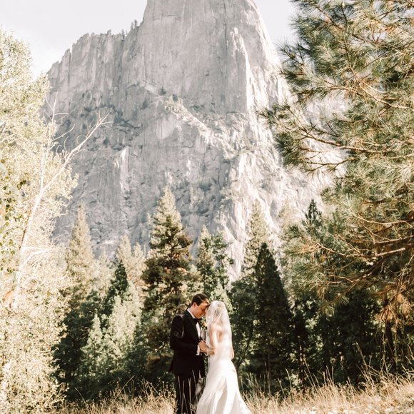 Petite BHLDN Willowby by Watters Brannox Wedding Gown - size 0/2 - Picture 4 of 14